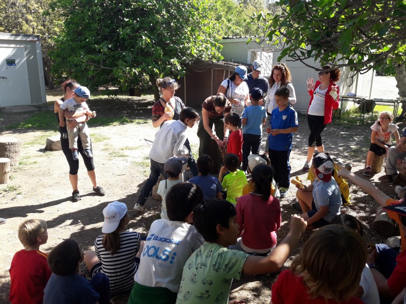 Sábado 17 de Junio: Prehistoria en Familia